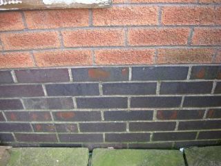 damp proof level