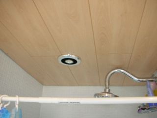 ceiling cladding