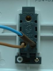 light switch wires