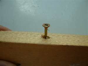 screw in wood 2