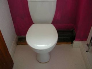 new toilet